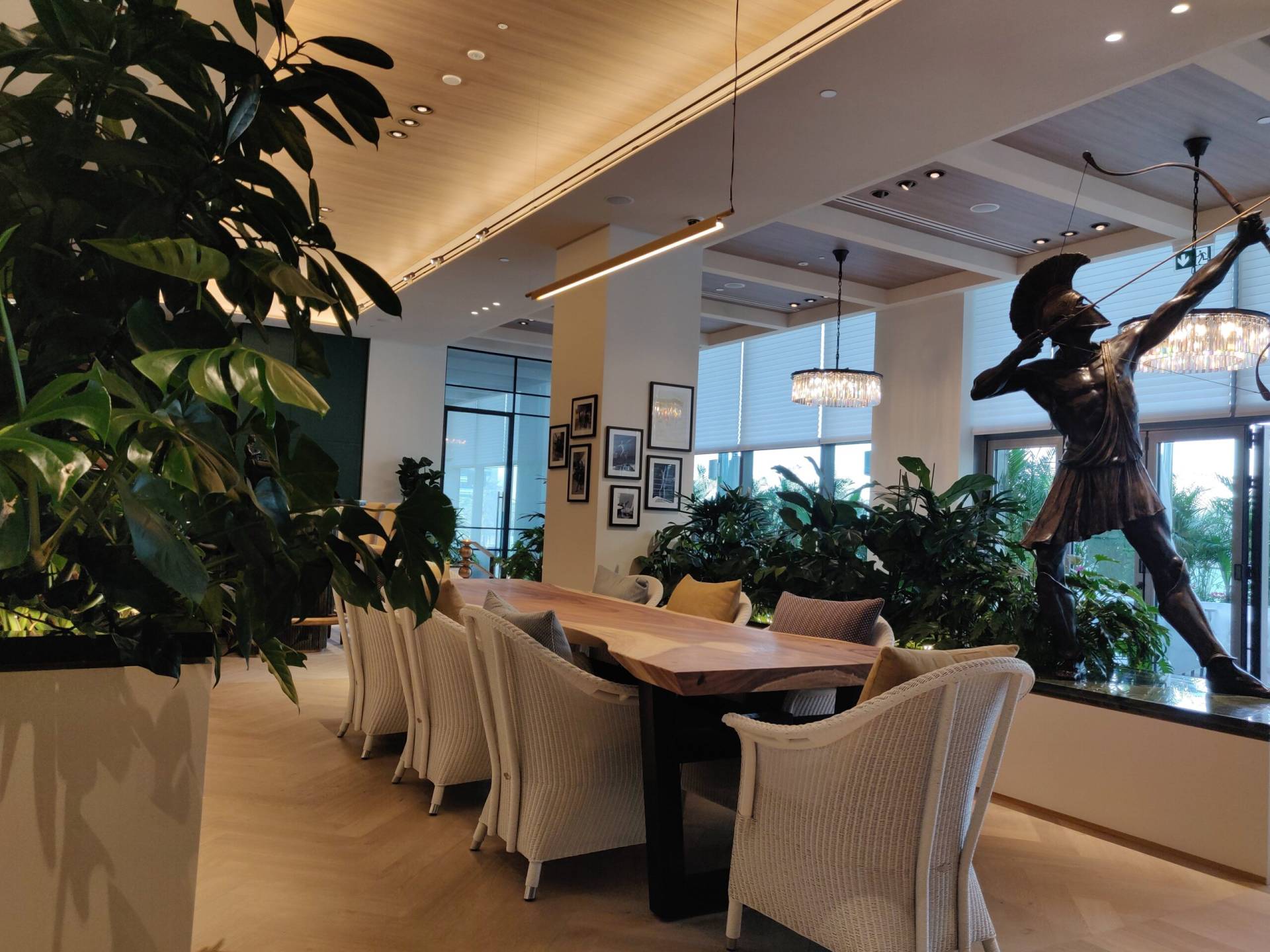 hydroculture living plants hydroculture living plants