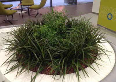 indoor plant at masdar city