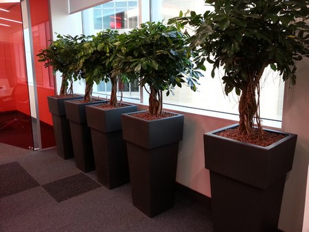 microsoft-abu-dhabi-pots hydroculture pots