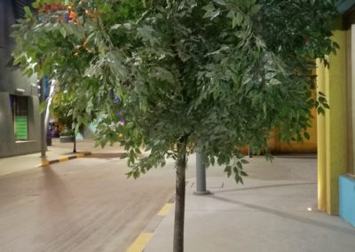Artificial ficus plant IMG Project Dubai