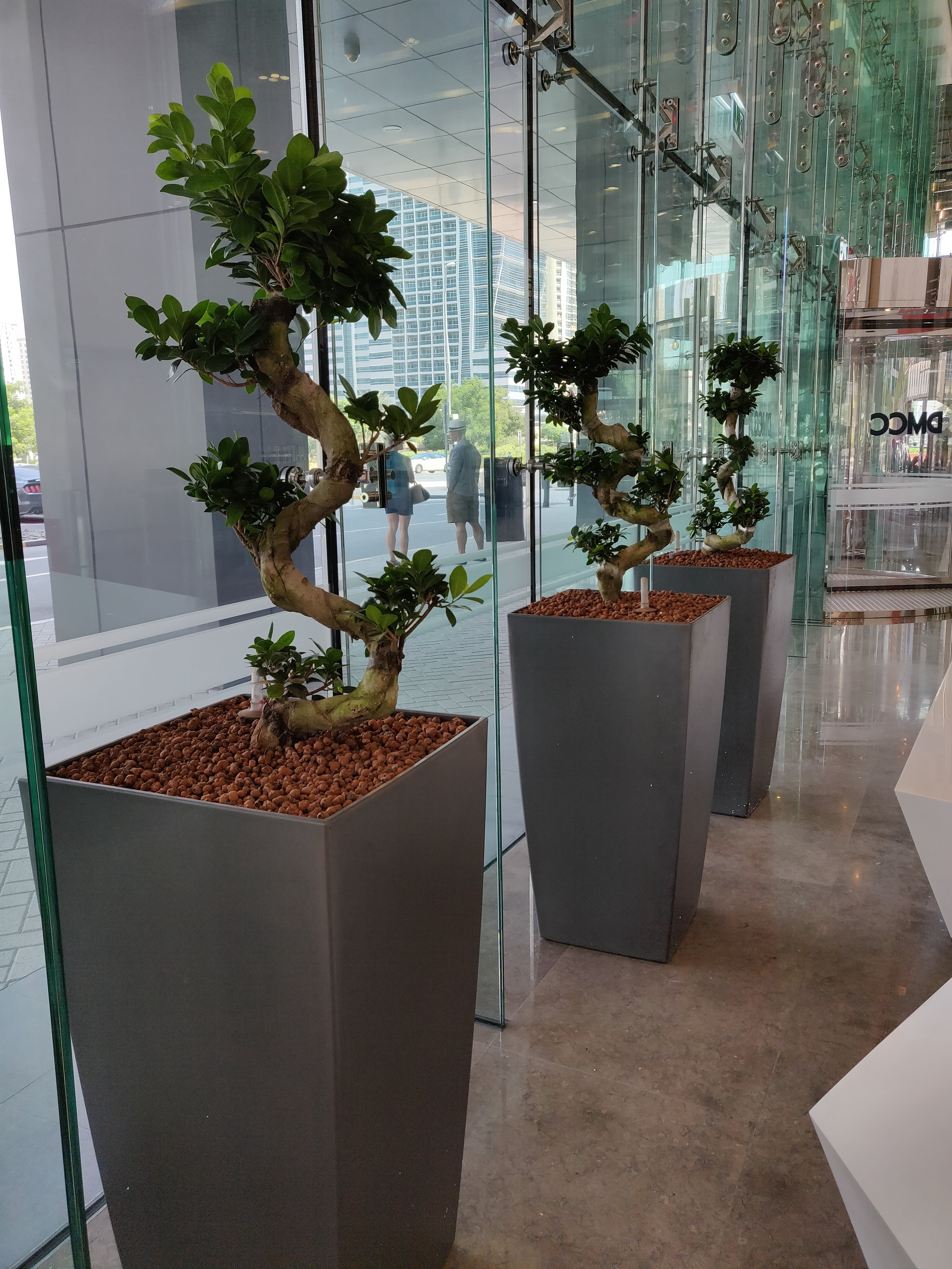 hydroculture plant pots