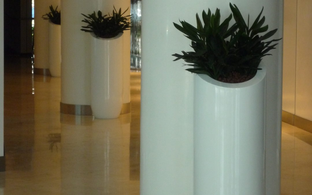 LEADS Certified Hydrocultre Plants And Sharp Pots: A Rewarding Solution I Dubai Chamber of Commerce 2008