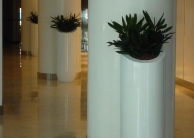 LEADS Certified Hydrocultre Plants And Sharp Pots: A Rewarding Solution I Dubai Chamber of Commerce 2008