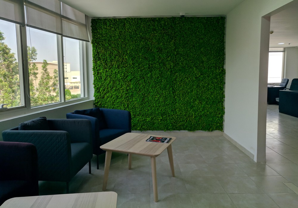 Preserved moss wall moss wall installation