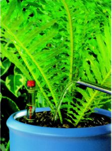 Hydroculture water indicator