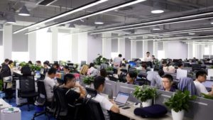Plants in Office