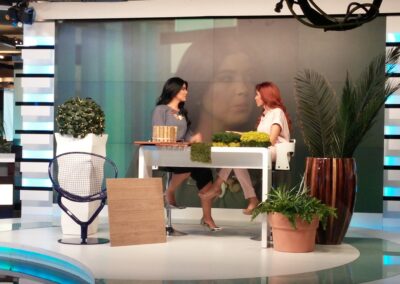 Artificial Plants Indoor | Plants Design  (The Plant Company) @ MBC  Morning Show