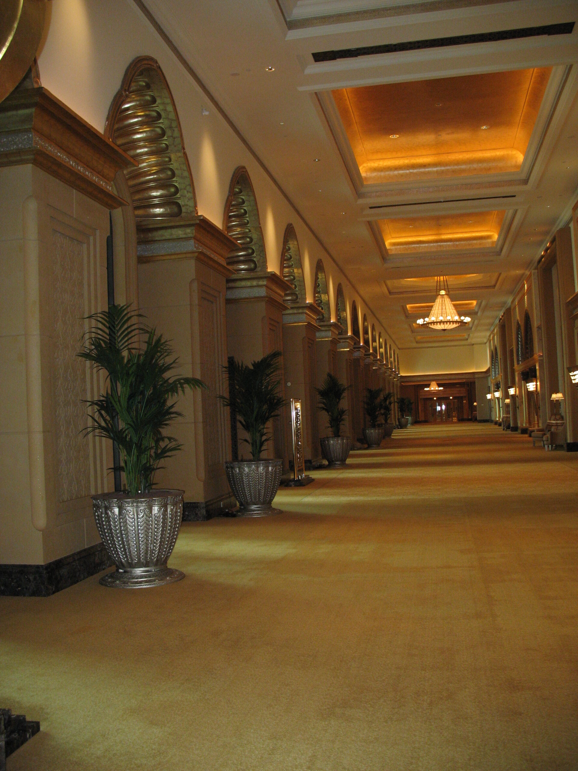 Emirates Palace Hotel Hydroculture Plants Kentia Palms hydroculture indoor plants