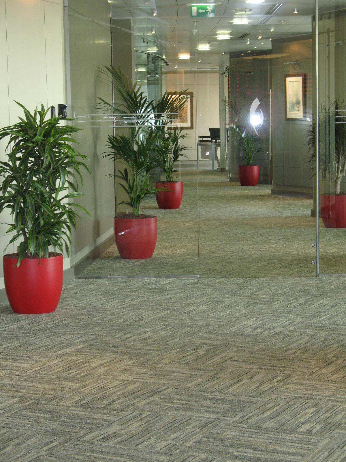 NBD Burjuman Office Center German Plant Pots Hydroculture Rotational Plant Pot