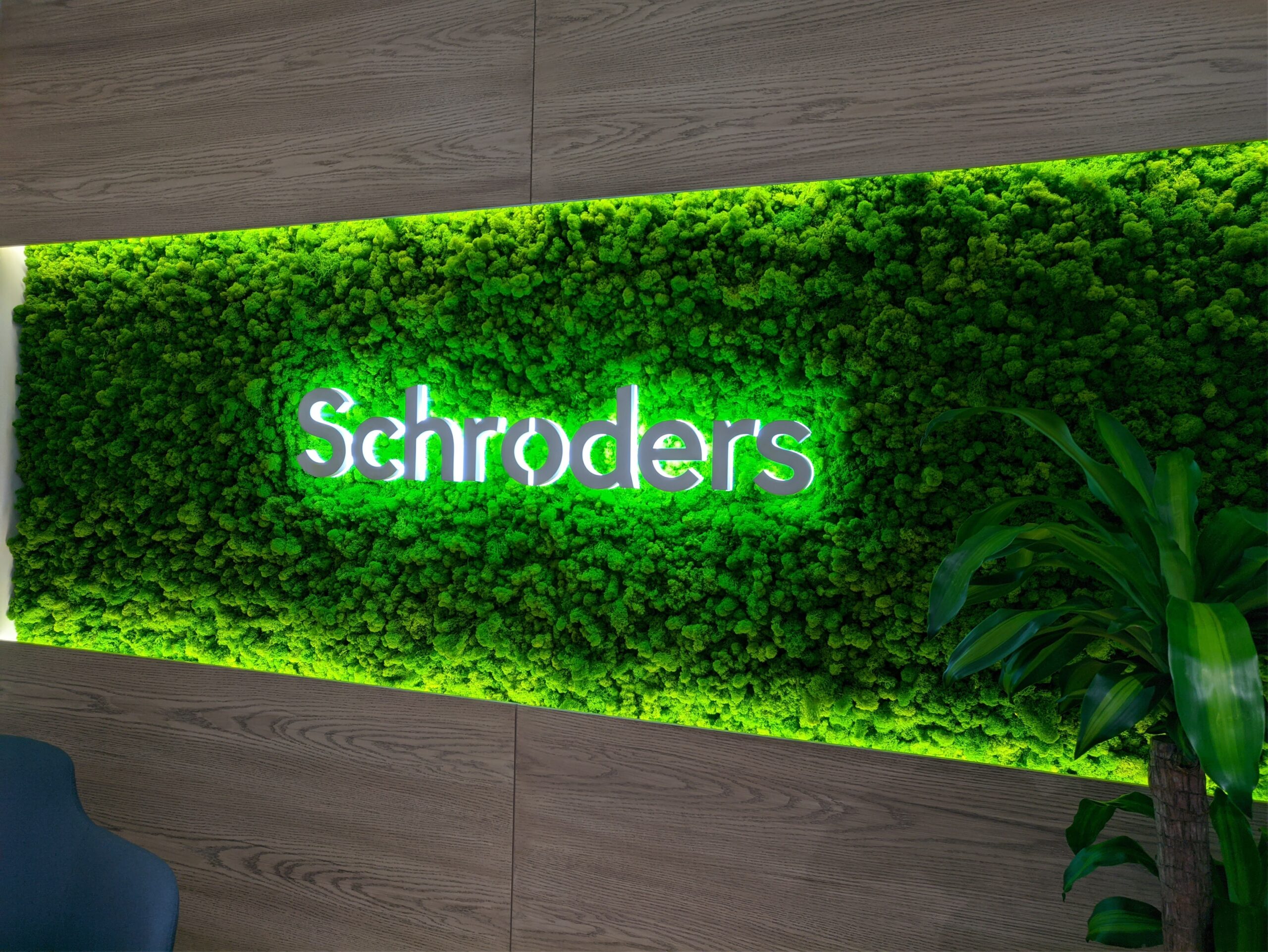 Schroders Preserved Moss Wall artificial plant wall