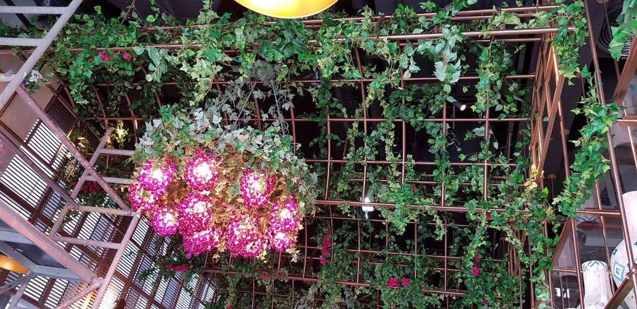 artificial plants and flowers