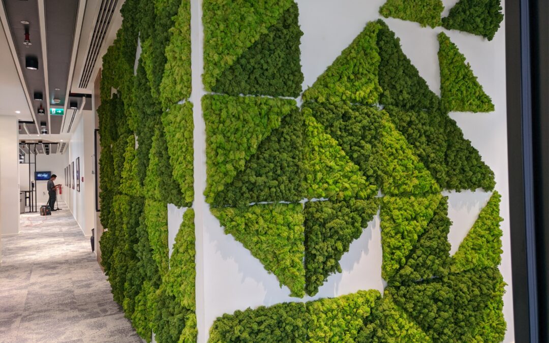 Positive Effect Of Organic Biophilic Plant Designs For Your Office | Natixis