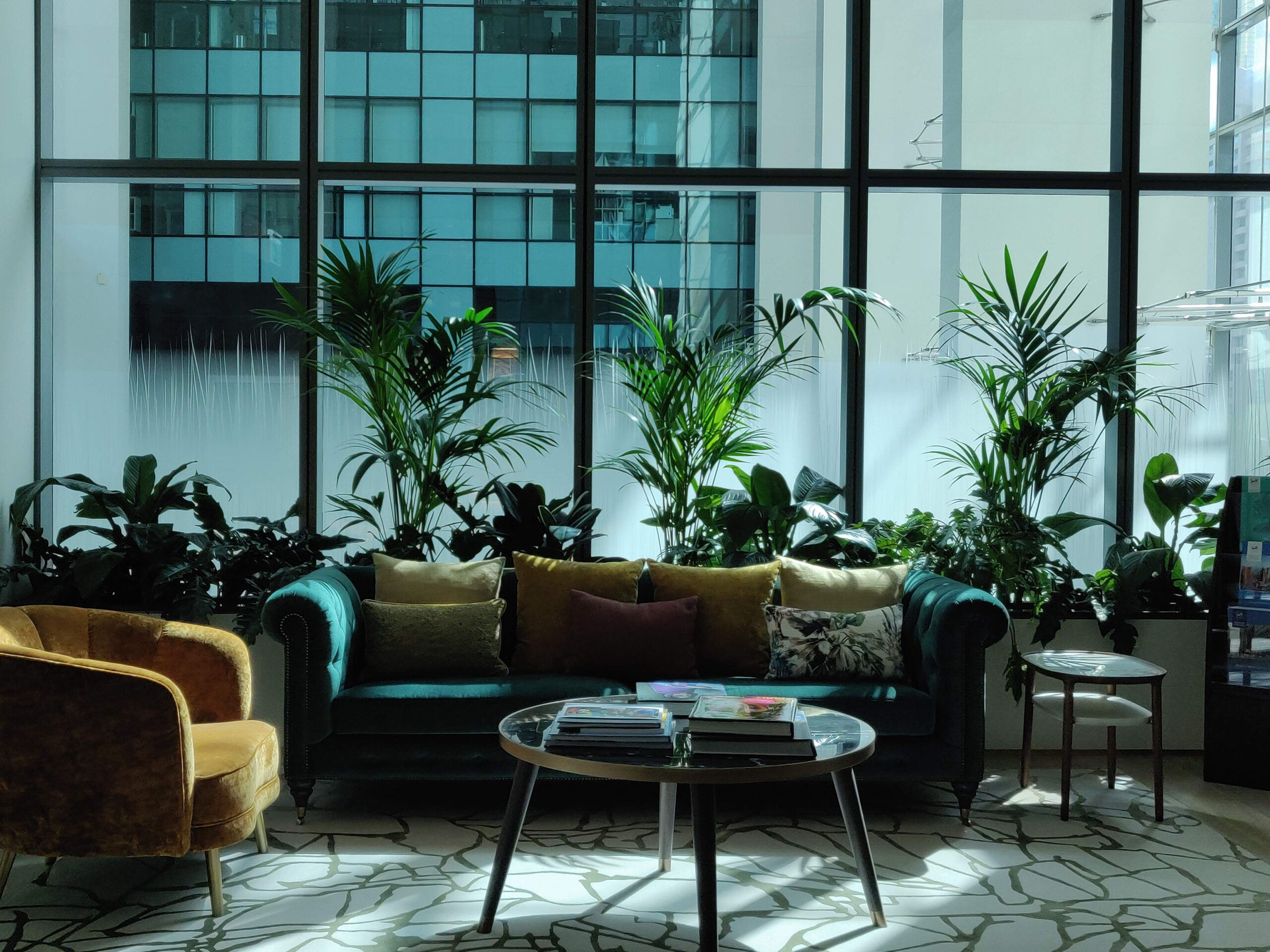 Legatum Hydroculture Plants Outdoor Landscaping Outdoor Landscaping