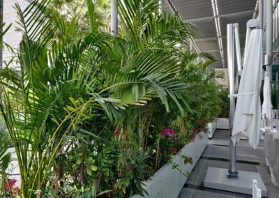 Legatumn Outdoor Landscaping 2