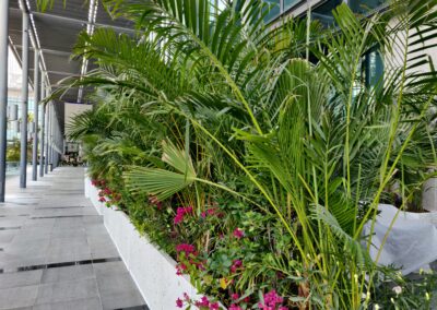 Legatumn Outdoor Landscaping 3