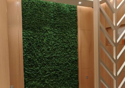 Sharjah Airport Lounge Preserved Moss Wall