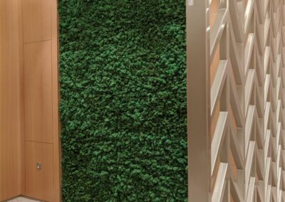 Sharjah Airport Lounge Preserved Moss Wall 3