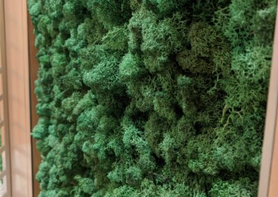 Sharjah Airport Lounge Preserved Moss Wall 4