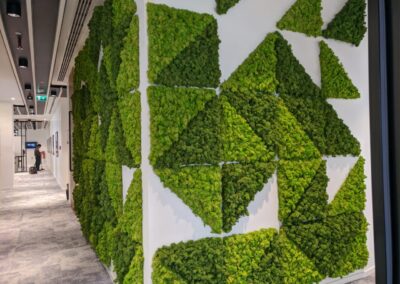 Natixis Moss wall, Hydroculture Plants