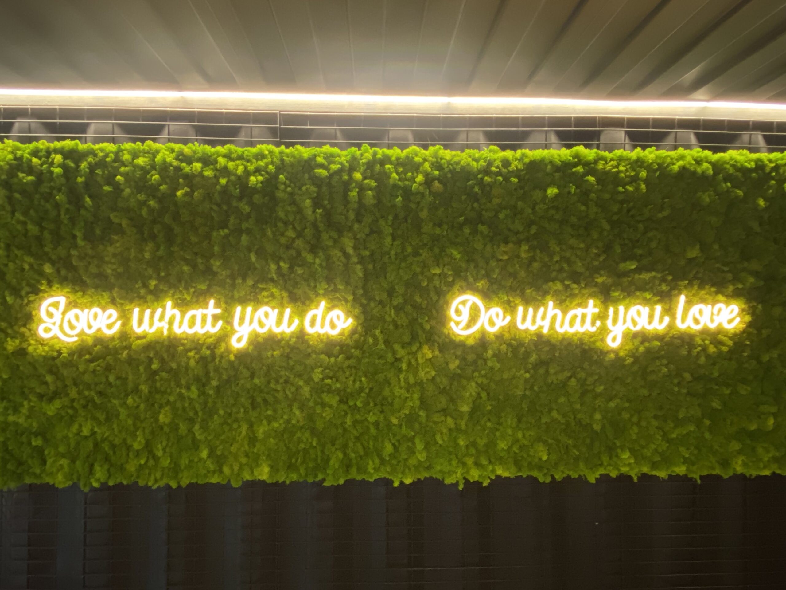 Moss Wall with Text Moss Wall with Text