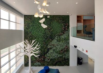 Stunning Artificial Green Wall I Deira International School (DIS)