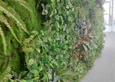 Deira International School (DIS) artificial green wall