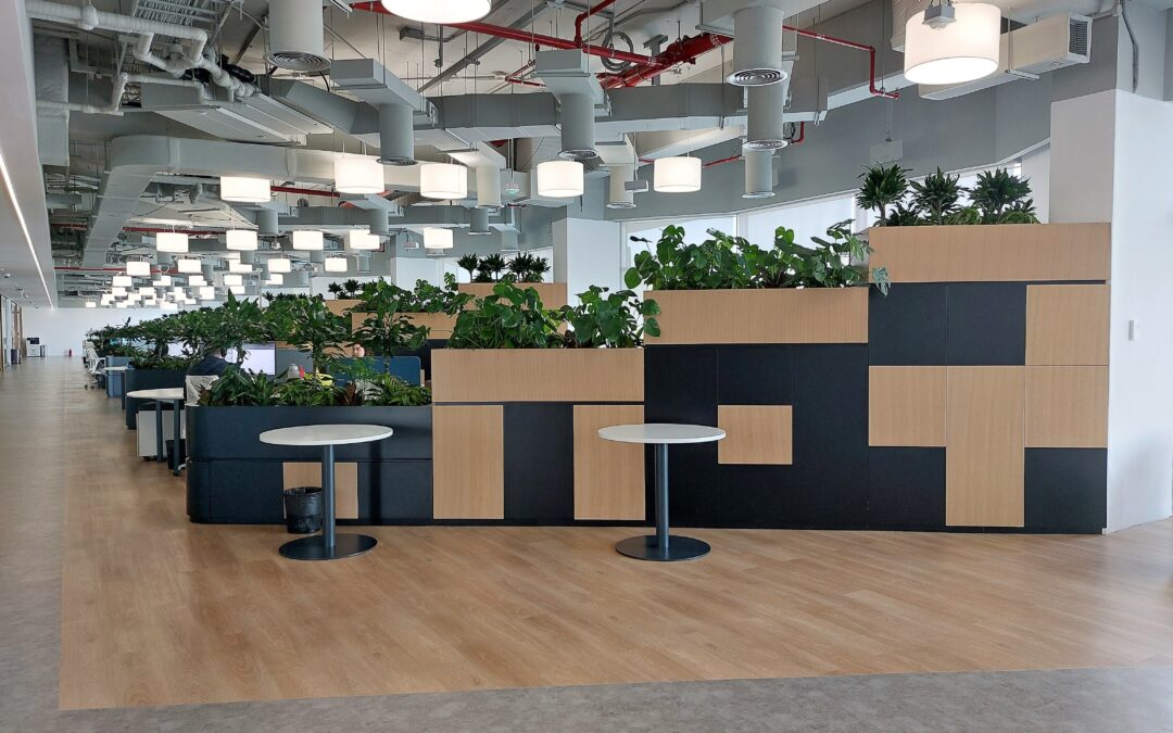 Undeniable Calming Effect of Office Plants I Flash Entertainment HQ