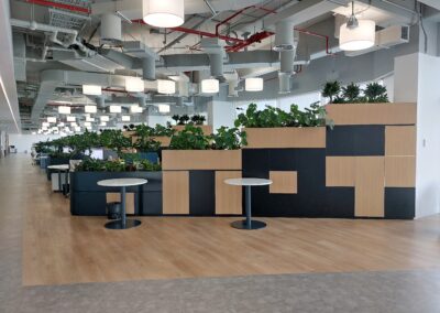 Undeniable Calming Effect of Office Plants I Flash Entertainment HQ