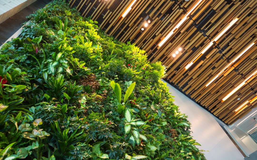 6 Benefits of Adding Outdoor Plant Walls to Your Space