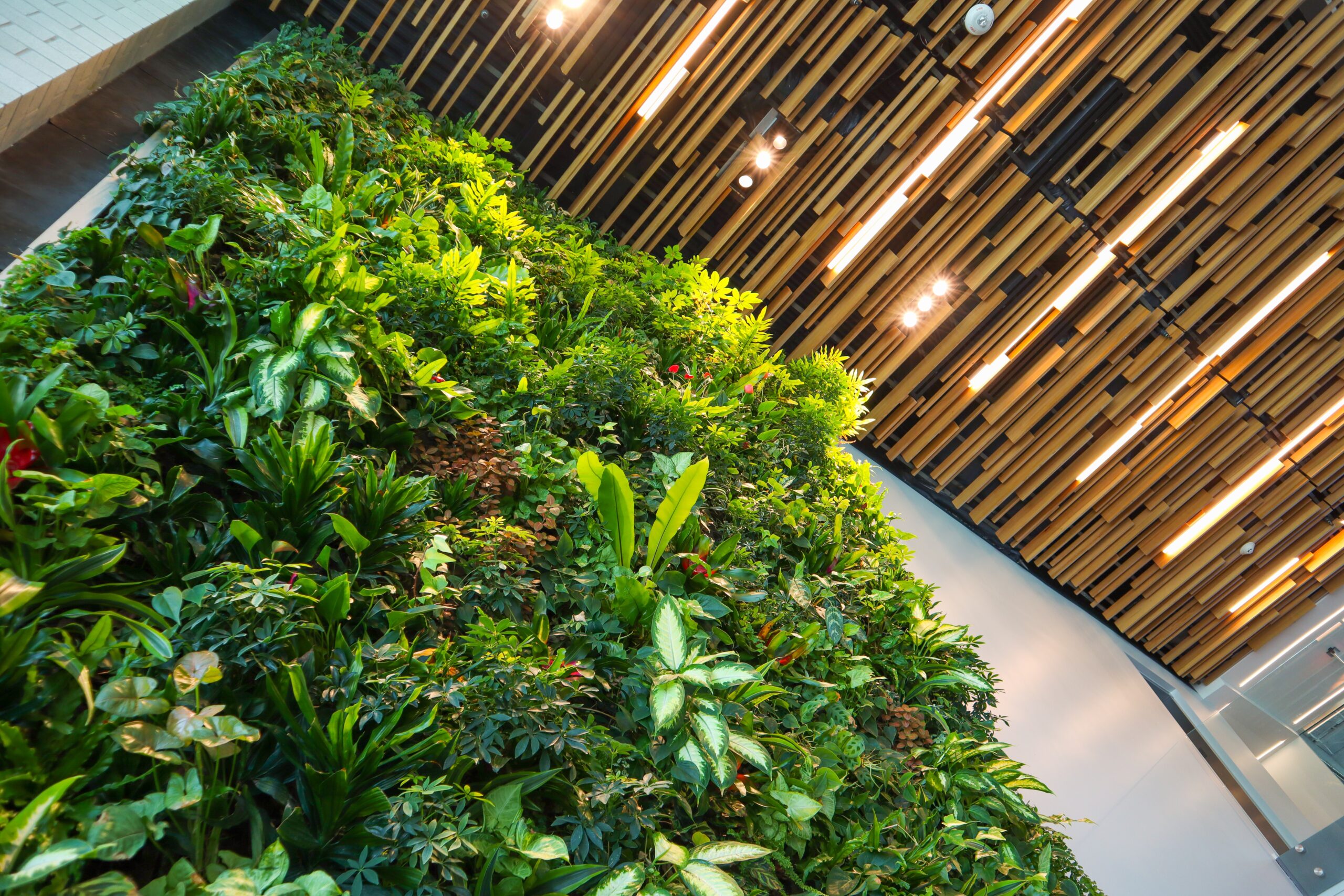 Outdoor Plant Wall