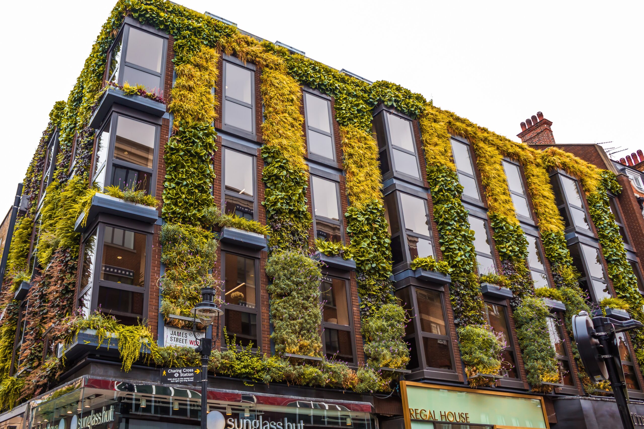 Vertical Garden Vertical Garden