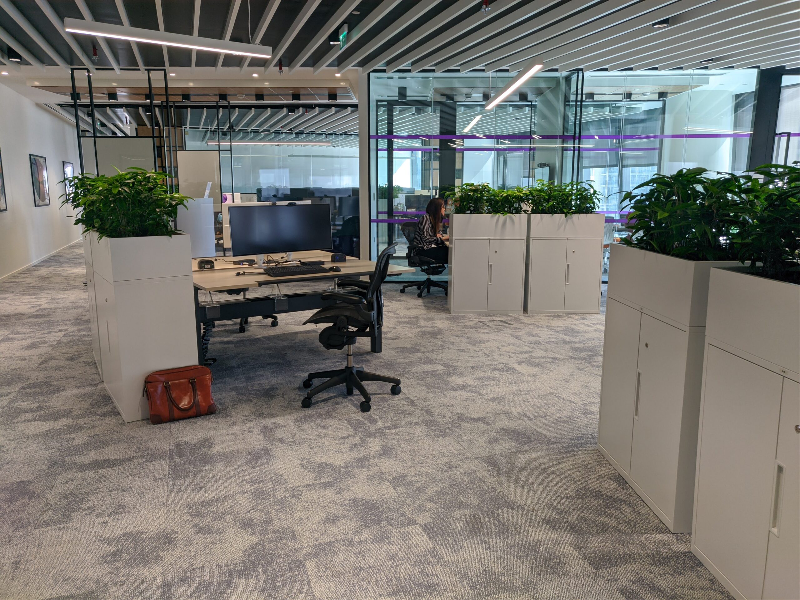 Eco-friendly workplace with low-light plants, Natixis Eco-friendly workplace with low-light plants, Natixis