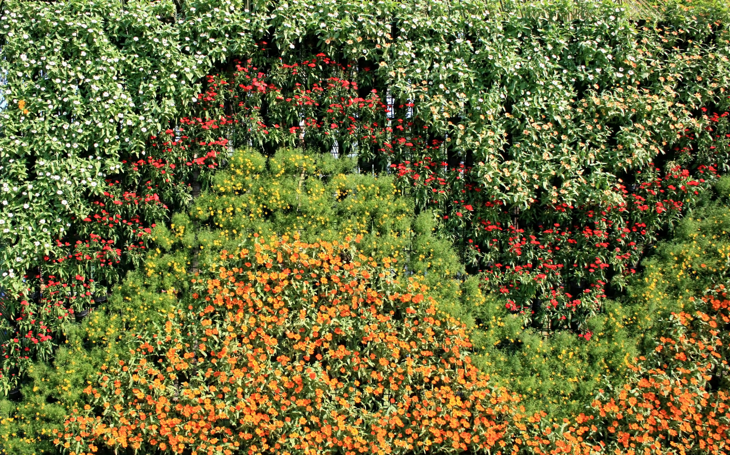 flower wall vertical garden