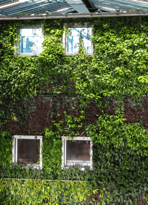 natural Green wall 2